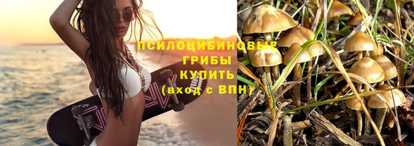гидропоника Михайловск