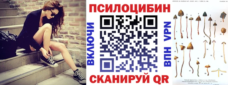 купить наркоту ссылка на мегу Псилоцибиновые грибы мицелий Шатура