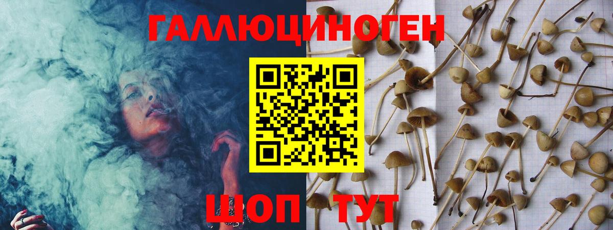 Псилоцибиновые грибы GOLDEN TEACHER  Вход с VPN  Шатура 