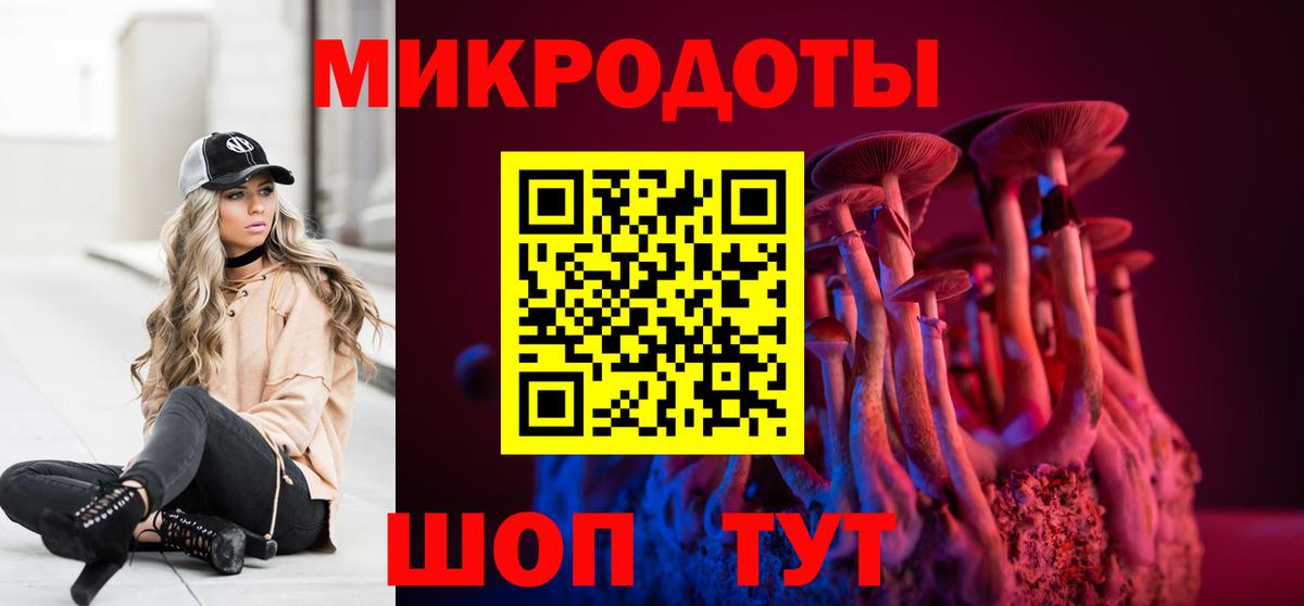 Псилоцибиновые грибы GOLDEN TEACHER Шатура